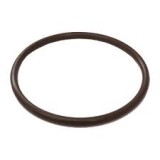 Guidi O-Ring for Water strainers 1164 4"